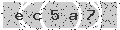 verify code