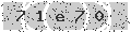 verify code